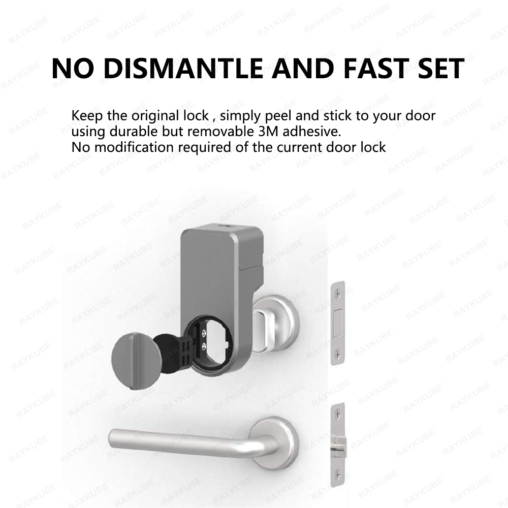 RAYKUBE A1 Pro Tuya BEL スマートドア - Fingerprint Access Control Door のレビューと価格