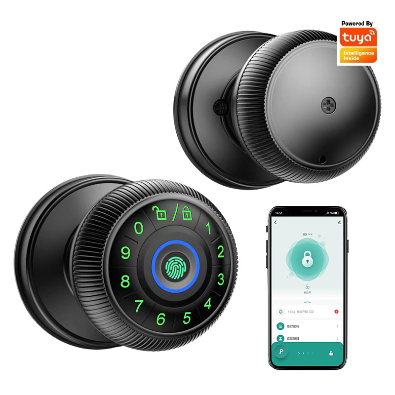 Tuya製、パスワード式、木製ドア用、指紋認証、鍵による解錠 - Fingerprint Access Control Door のレビューと価格
